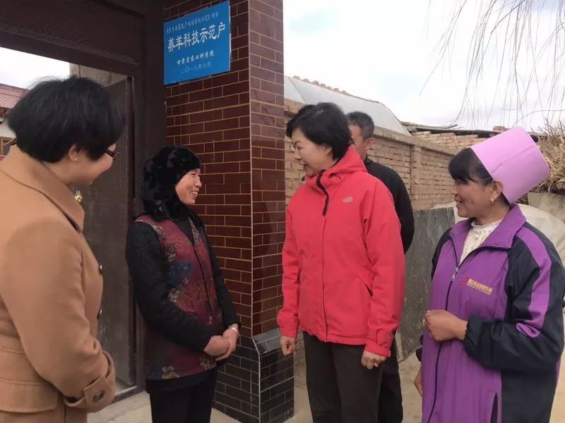 1553565125552648.jpeg 640-8.jpeg