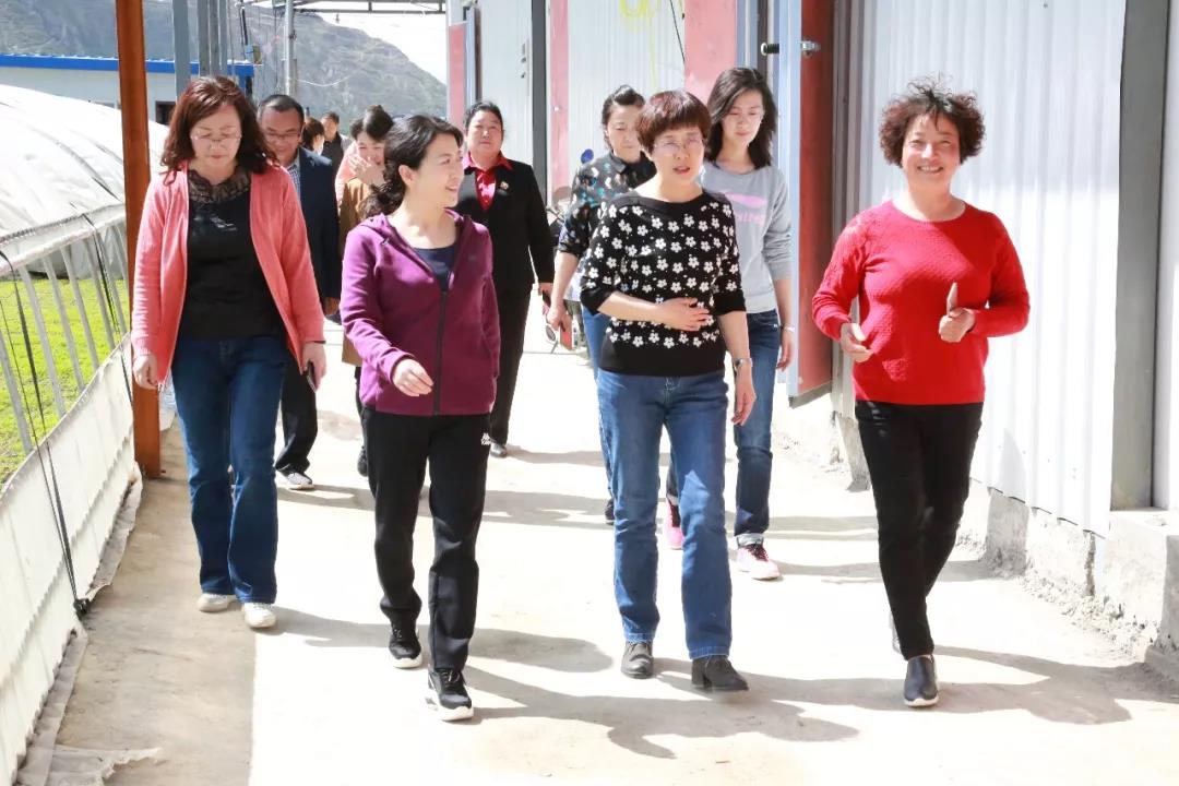 1557542161329011.jpg 1557542161329011.jpg