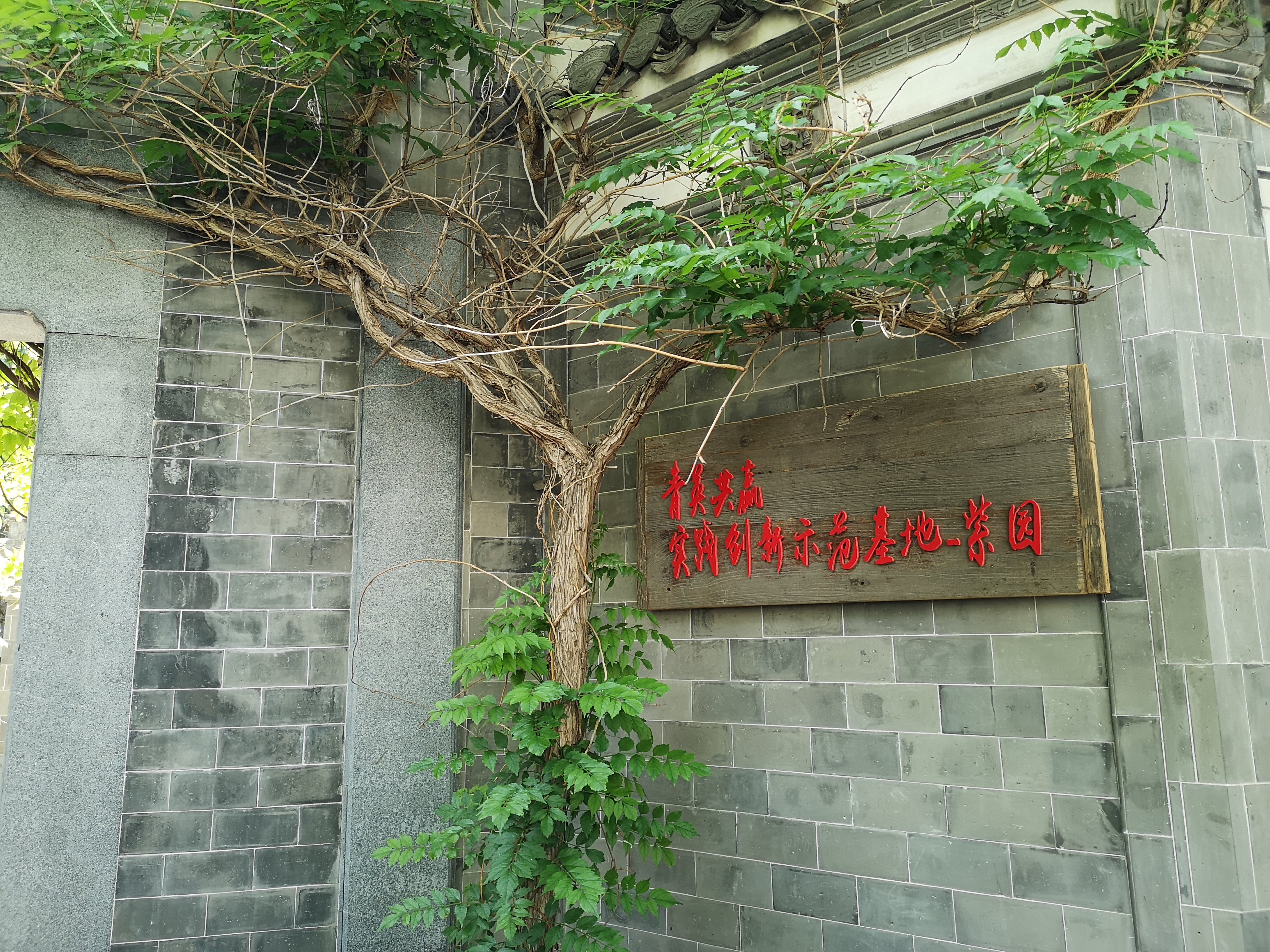 1558333864816181.jpg 1558333864816181.jpg