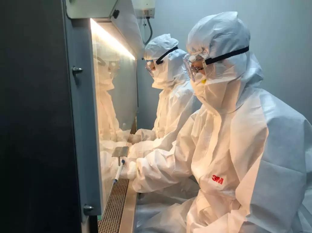 1580450062887727.jpg 1580450062887727.jpg