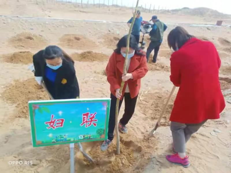 微信图片_20170101031626.jpg