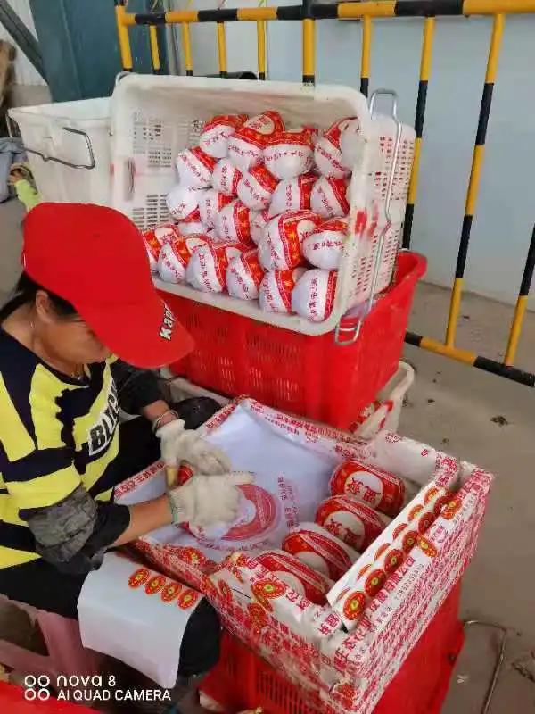 1626425106997657.jpg 马站.jpg