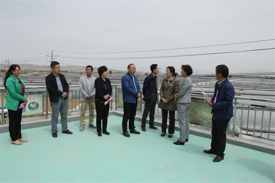 6D4A0123.JPG 6D4A0123.JPG