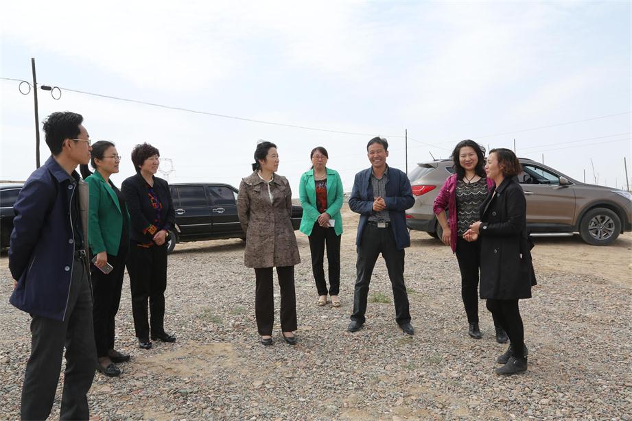 6D4A0140.JPG 6D4A0140.JPG