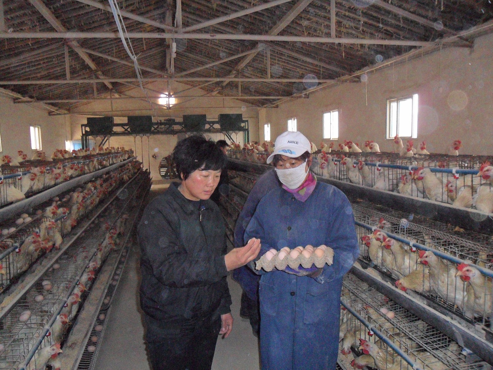 SAM_0667.JPG SAM_0667.JPG