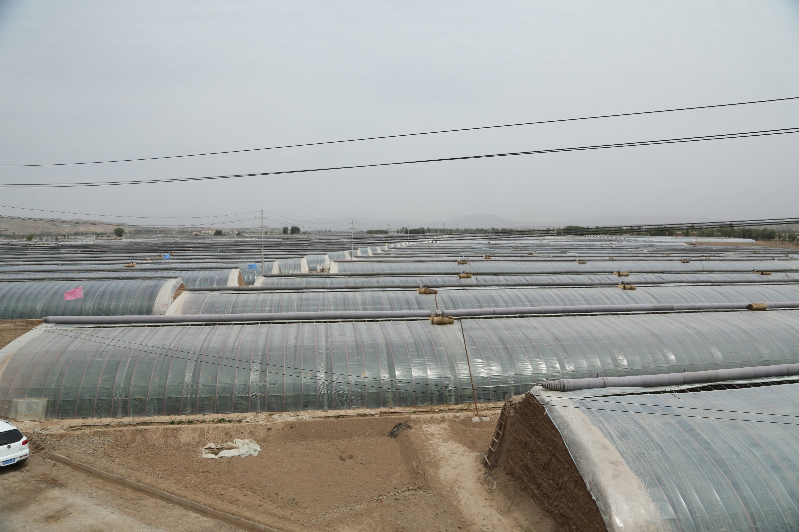 6D4A0132.JPG 6D4A0132.JPG