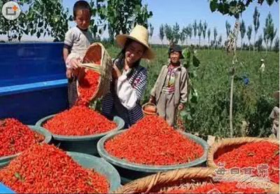 dK0AAAAAAAAA&ek=1&kp=1&pt=0&bo=WAKgAQAAAAAFANg!&sce=60-2-2&rf=0-0.jpg dK0AAAAAAAAA&ek=1&kp=1&pt=0&bo=WAKgAQAAAAAFANg!&sce=60-2-2&rf=0-0.jpg