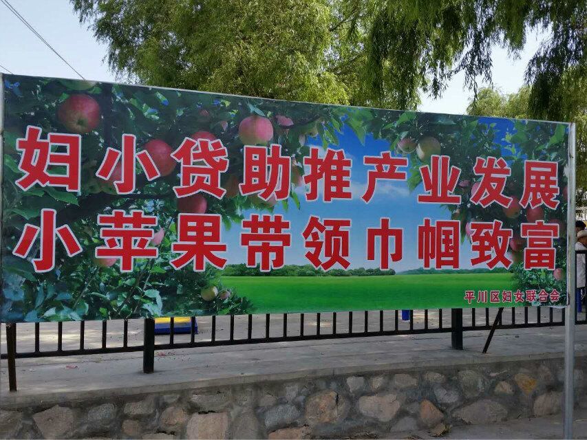 扶持宝积镇大湾村发展苹果产业1.jpg 扶持宝积镇大湾村发展苹果产业1.jpg