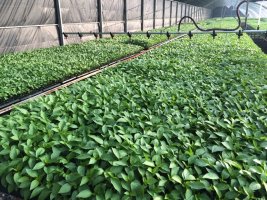 dKsAAAAAAAAA&ek=1&kp=1&pt=0&bo=VgOAAgAAAAABAPA!&sce=60-3-3&rf=0-0.jpg dKsAAAAAAAAA&ek=1&kp=1&pt=0&bo=VgOAAgAAAAABAPA!&sce=60-3-3&rf=0-0.jpg