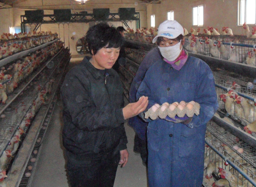 QQ图片20160727103122.png QQ图片20160727103122.png