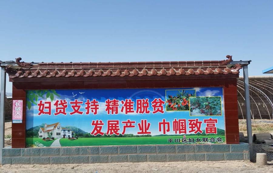 图片9.jpg 图片9.jpg