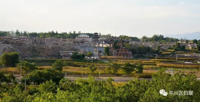 1.webp.jpg 1.webp.jpg