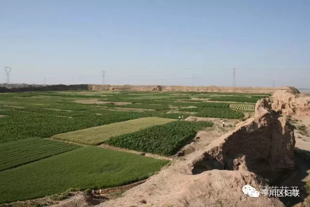 3.webp.jpg 3.webp.jpg