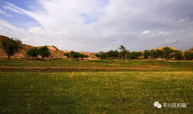 8.webp.jpg 8.webp.jpg