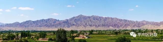 6.webp.jpg 6.webp.jpg