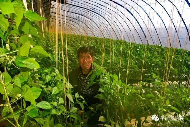 14.webp.jpg 14.webp.jpg