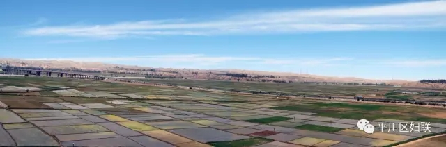 17.webp.jpg 17.webp.jpg