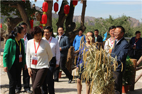 IMG_7324_副本.jpg IMG_7324_副本.jpg