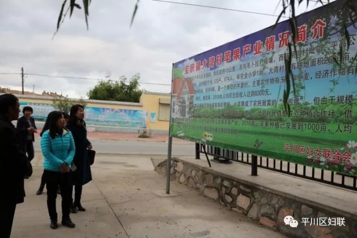 22.webp.jpg 22.webp.jpg