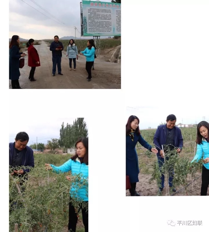 22.webp (2).jpg 22.webp (2).jpg