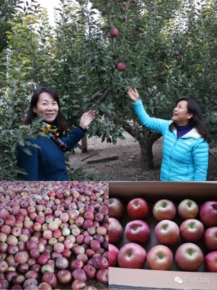 23.webp.jpg 23.webp.jpg