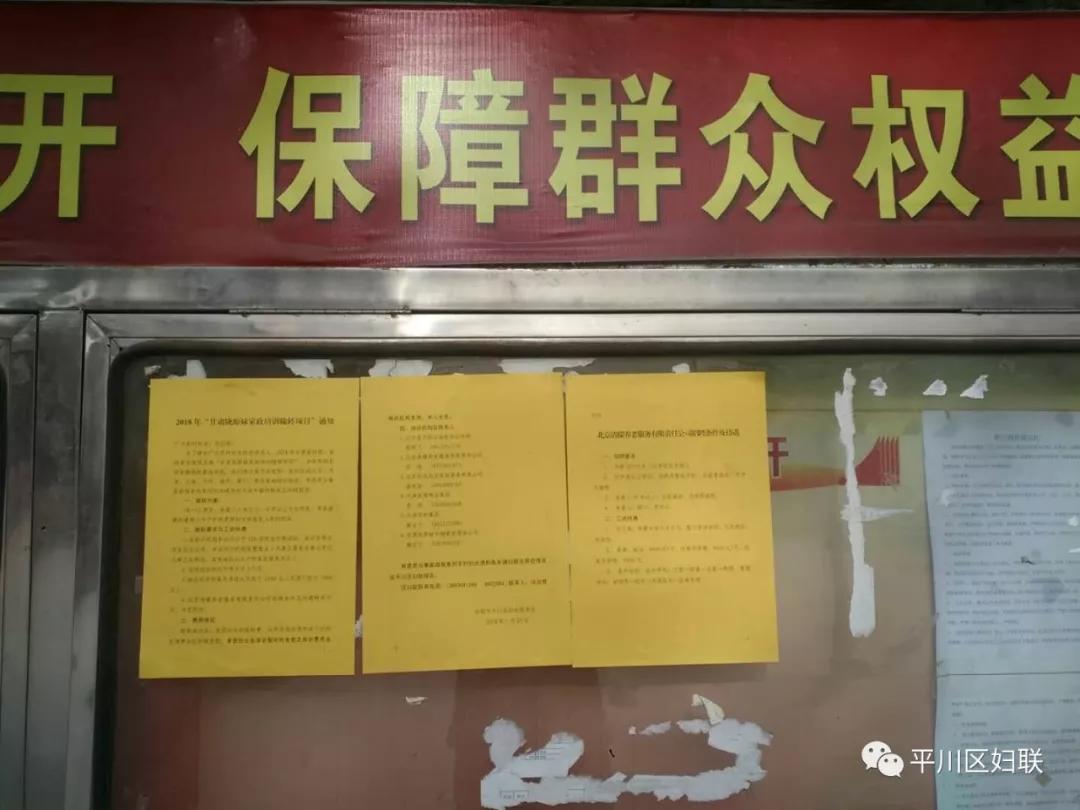 陇原妹7.jpg 陇原妹7.jpg