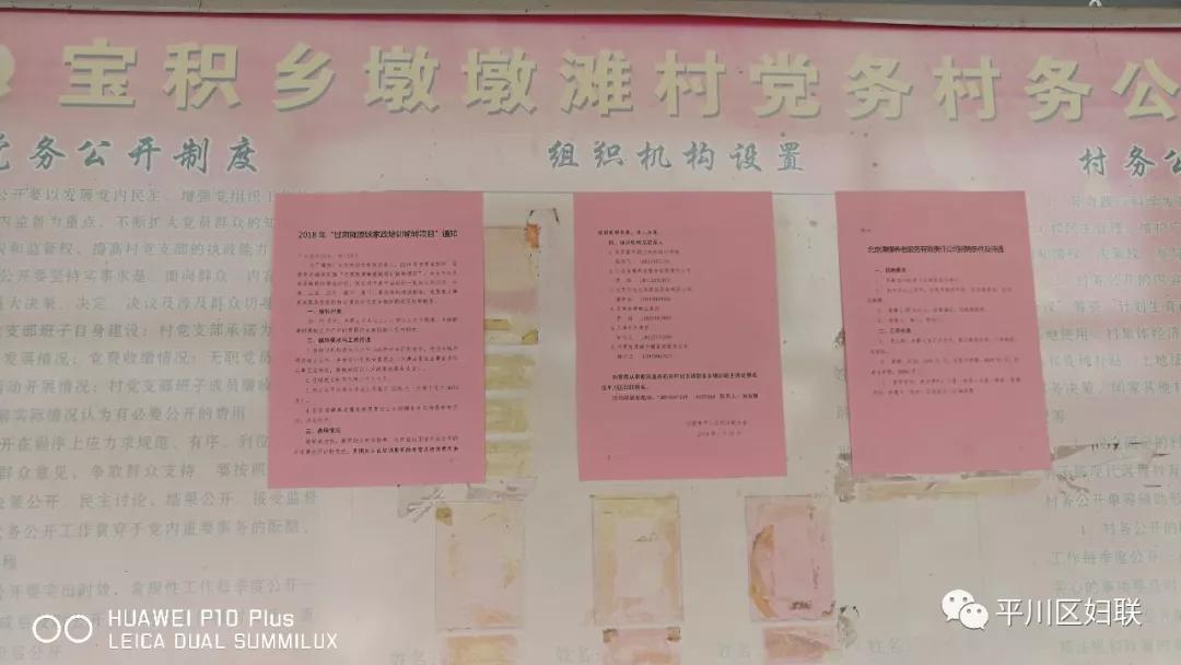 陇原妹8.jpg 陇原妹8.jpg