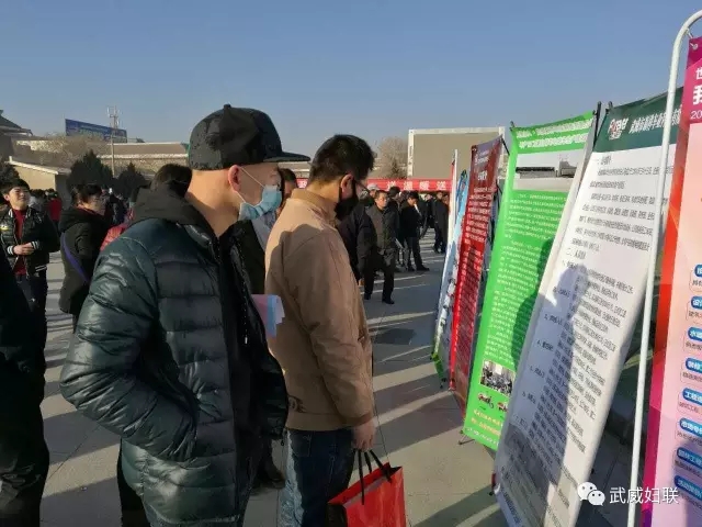 春风行动3.webp.jpg